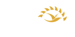ProSunn - Home